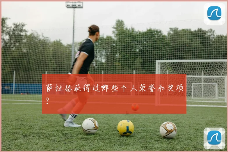 萨拉赫获得过哪些个人荣誉和奖项?
